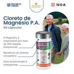 cloreto-de-magnesio-pa_vegano-60-capsulas-vegetais-verdes_meissen-hero