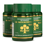 kit3-kefir-kfr-vitamina-C-biologicus-noa_projeto-verao-tranp