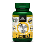 kampo-de-ervas-curucma-organica