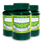melao-de-sao-caetano_kit-3x-momordica-charantia-50-capsulas_botanica-haacke